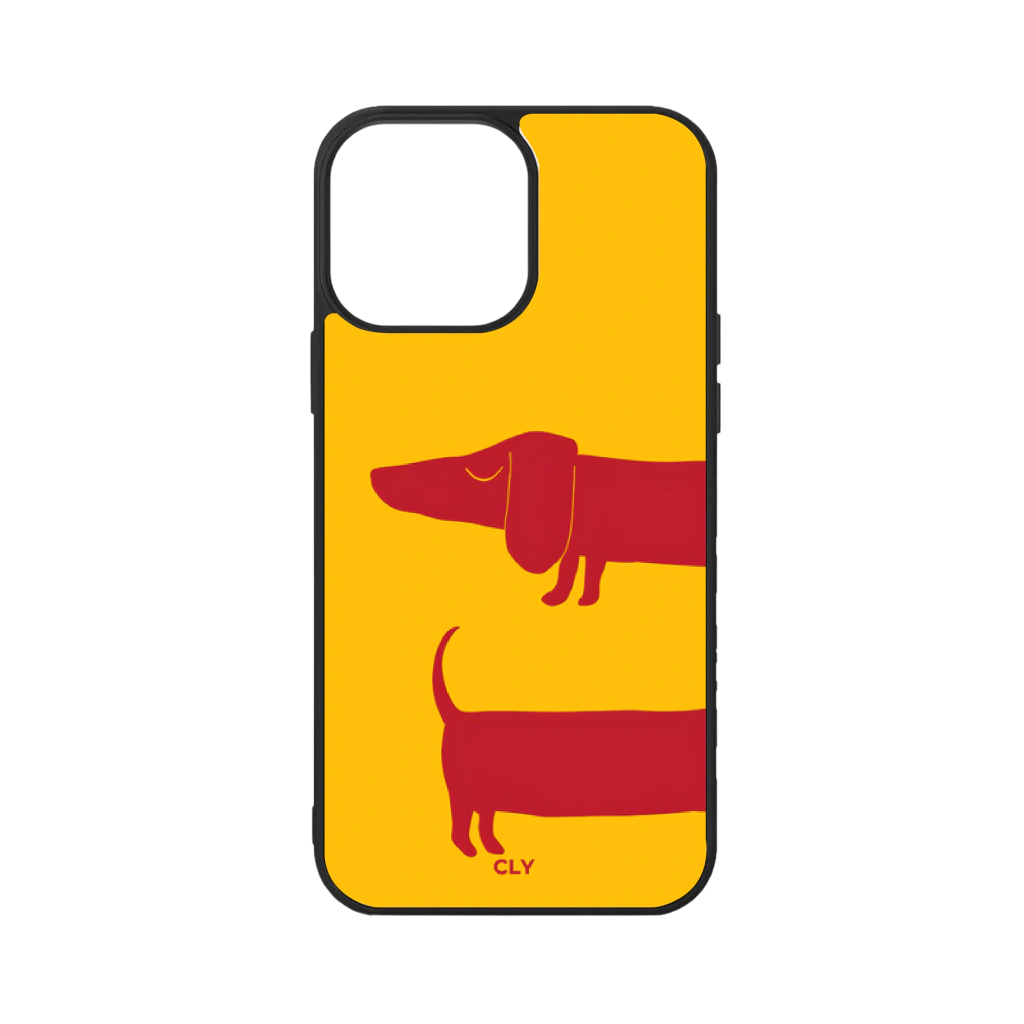 SALCHI - CLY CASE