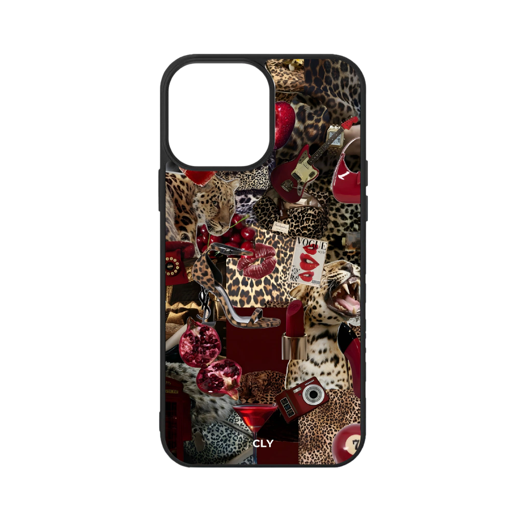 C6 - CLY CASE