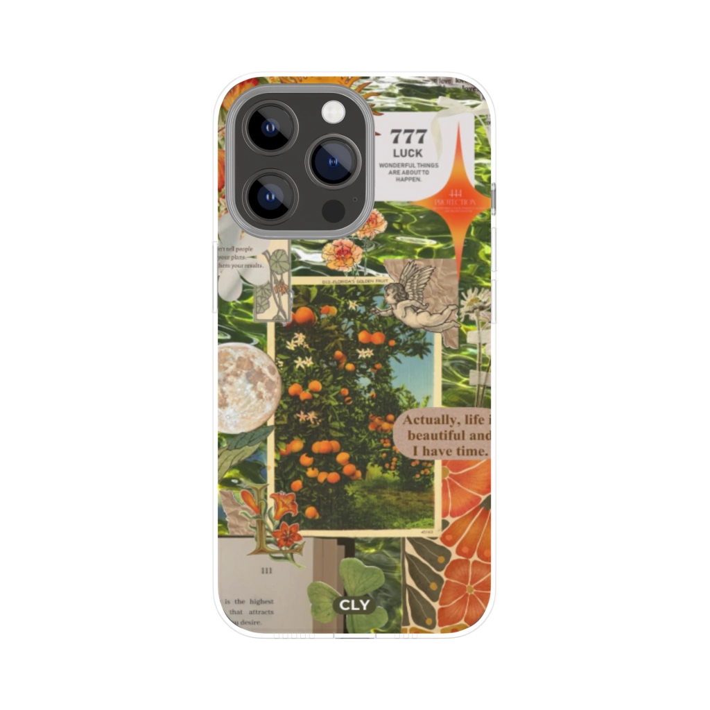 C2 - CLY CASE