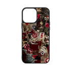 C6 - CLY CASE