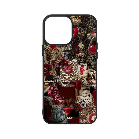C6 - CLY CASE